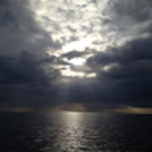 Meet your Posher, Joni